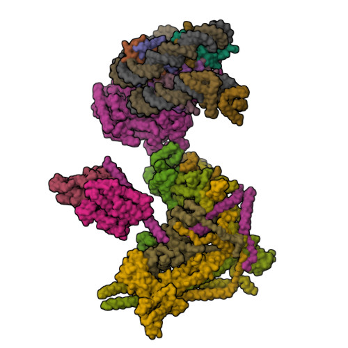 RCSB PDB - 9RN1: Structure of BAF-nucleosome complex with OCT4-SOX2 at ...