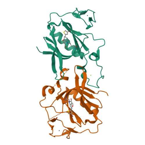 Structure 9RN5