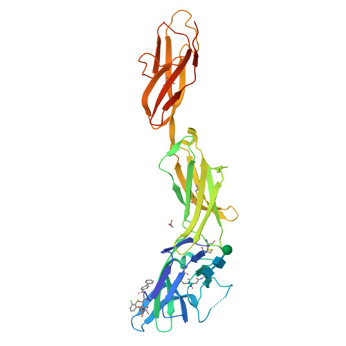 RCSB PDB - 9ROB: Crystal structure of human CD22 Ig domains 1-3 in ...