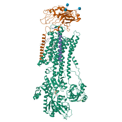 Structure 9ROF