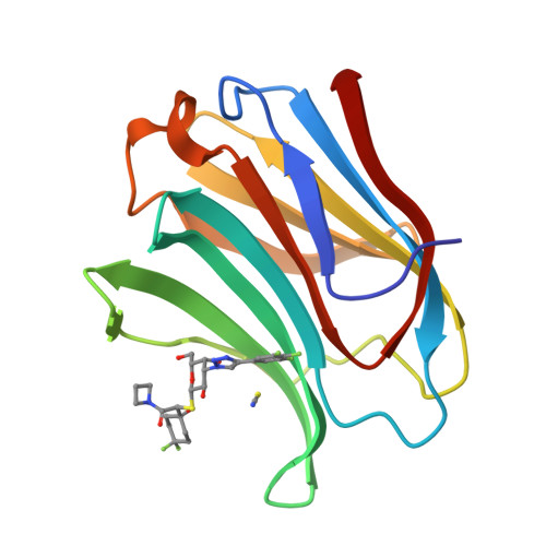 Structure 9RR1