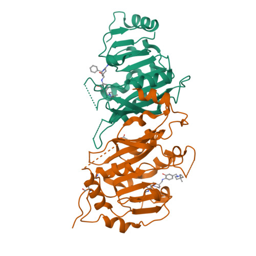 RCSB PDB - 9RS0: Crystal structure of the human METTL3-METTL14 in ...