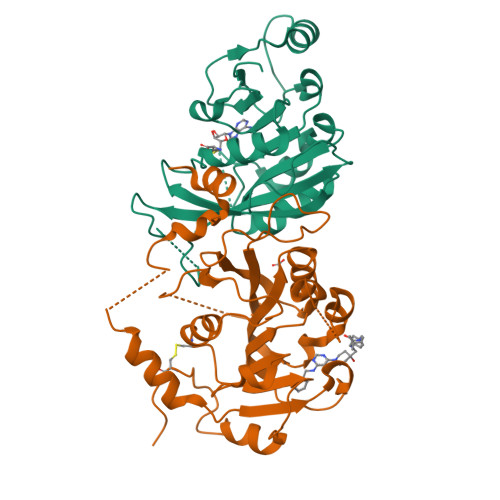 RCSB PDB - 9RS1: Crystal structure of the human METTL3-METTL14 in ...