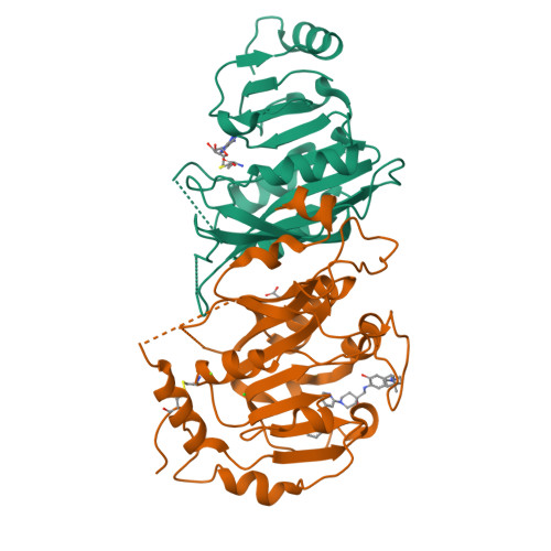 RCSB PDB - 9RS3: Crystal structure of the human METTL3-METTL14 in ...