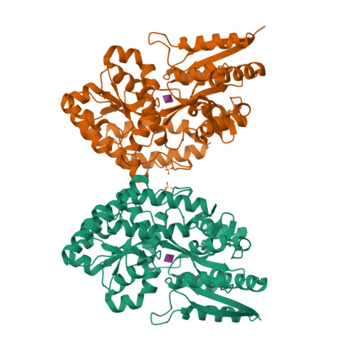 Structure 9RSI
