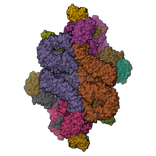 Structure 9RSS