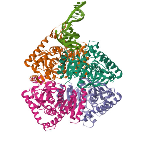 RCSB PDB - 9RTD: Crystal structure of DNA aptamer C8N5t in complex with ...
