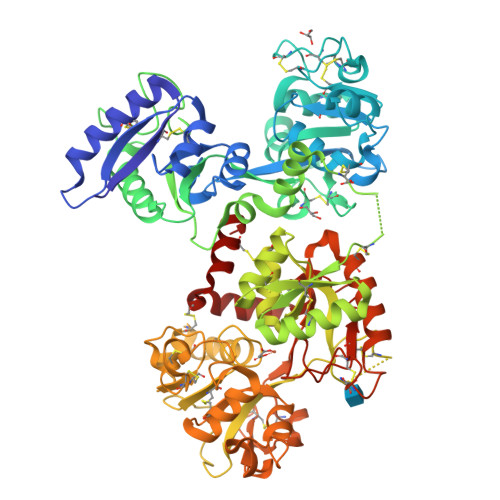 Structure 9RTF
