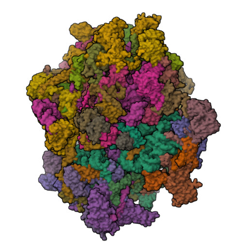 Structure 9RU6