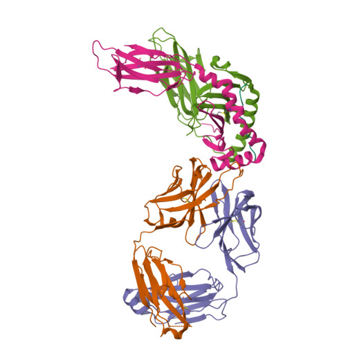 Structure 9RUH
