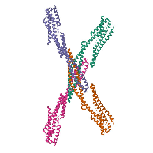RCSB PDB - 9RUX: Cryo-EM structure of DISC1 core