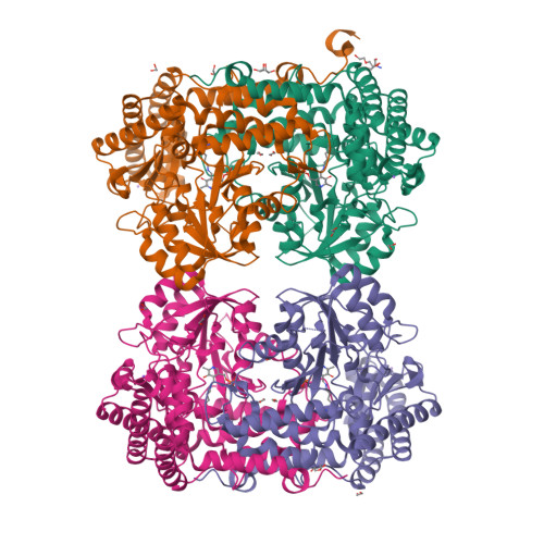 RCSB PDB - 9RWD: High-resolution structure of human SHMT2 with ...