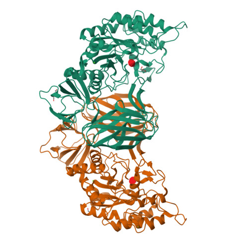 Structure 9RZY