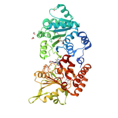 RCSB PDB - 9S18: WRN helicase in complex with HRO761