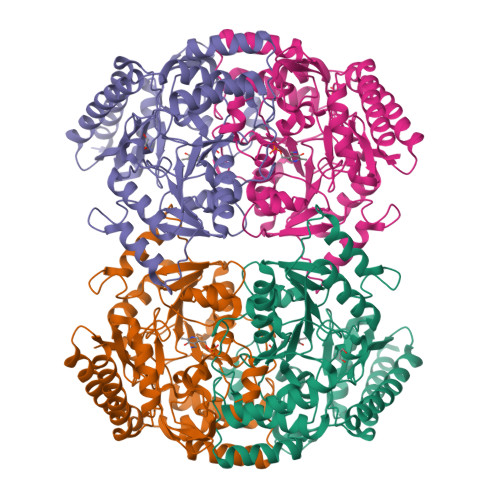 RCSB PDB - 9S1Q: Crystal structure of the DABA transaminase EctB from ...