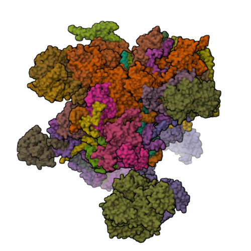 Structure 9S2G