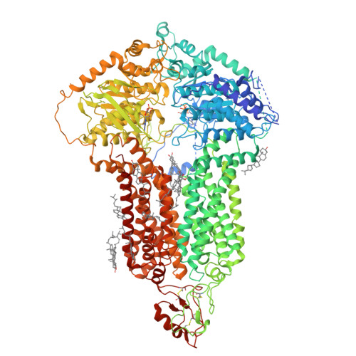 Structure 9S2H
