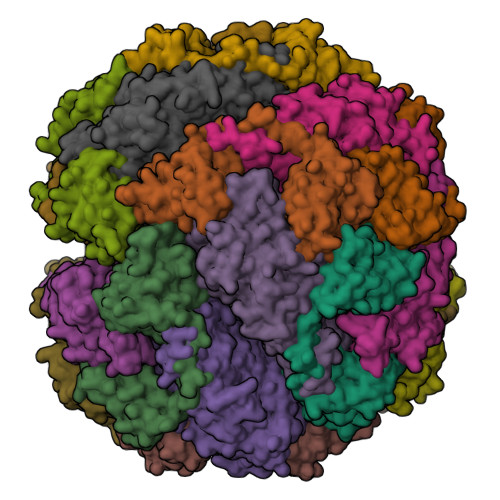 Structure 9S33