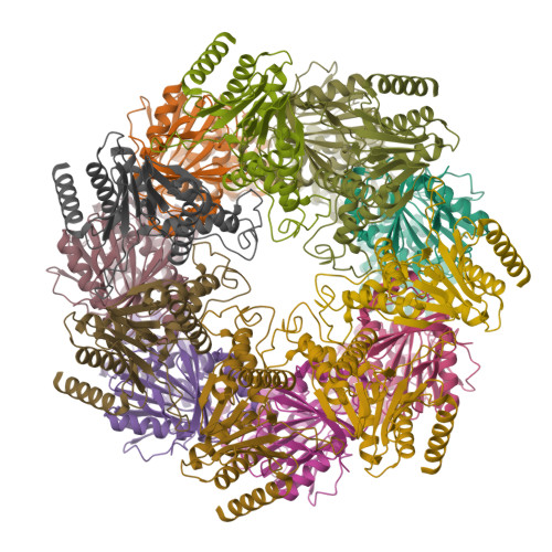 Structure 9S34