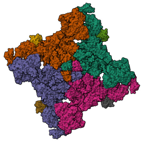 Structure 9S3U