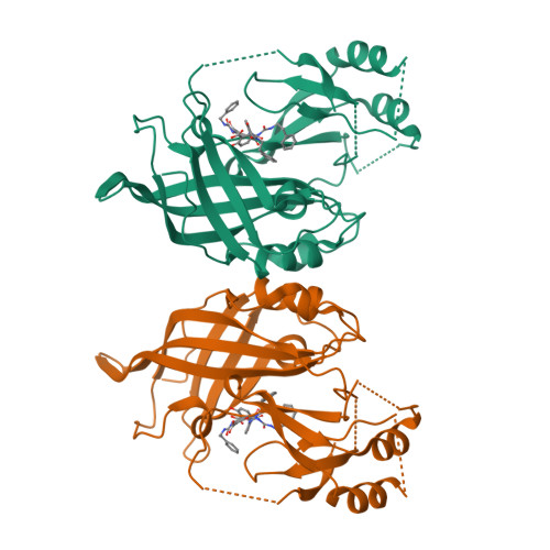 Structure 9S40