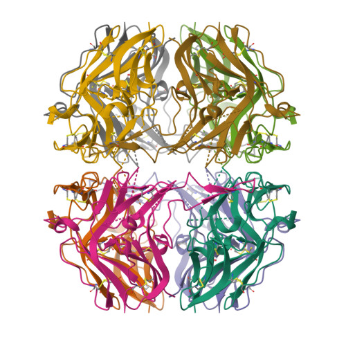 Structure 9S49