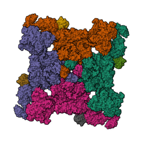 Structure 9S4N