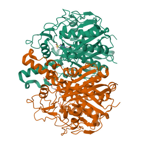 Structure 9S5H
