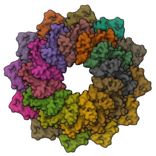 Structure 9S5J
