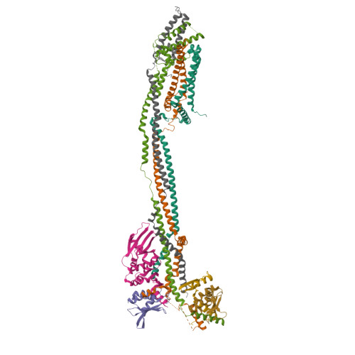 Kmn Complex RCSB PDB - 9S5N: Cryo-EM structure of the Saccharomyces cerevisiae KMN ...