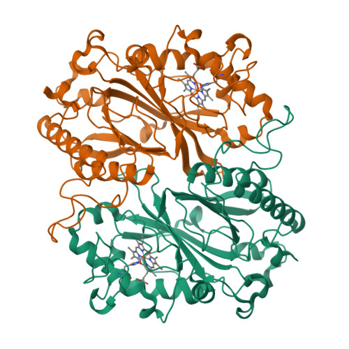 Structure 9S5Q