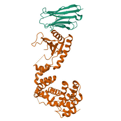Structure 9S6K