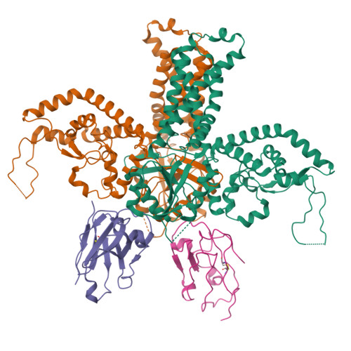 RCSB PDB - 9S7S: Structure of E. coli WbaP in complex with a megabody