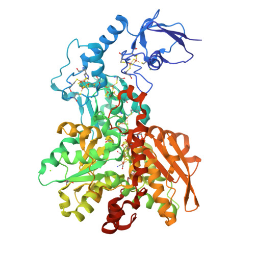 Structure 9S8H