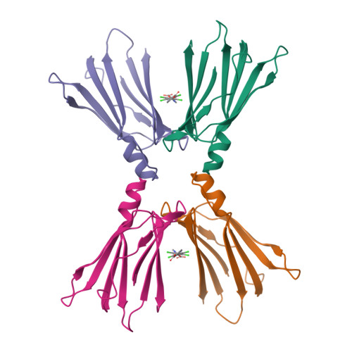 Structure 9S94