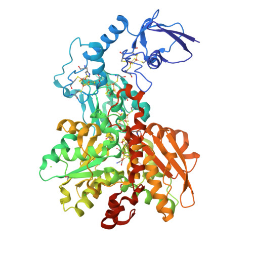 Structure 9S9D