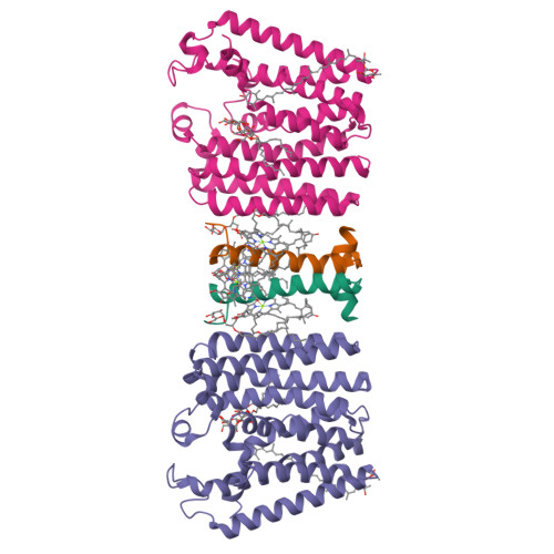 Structure 9SAS