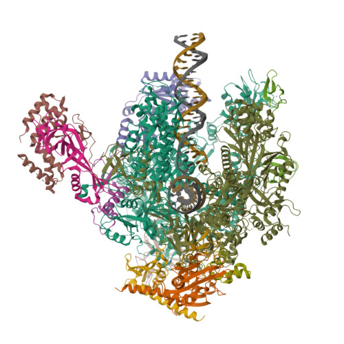 Structure 9SAZ
