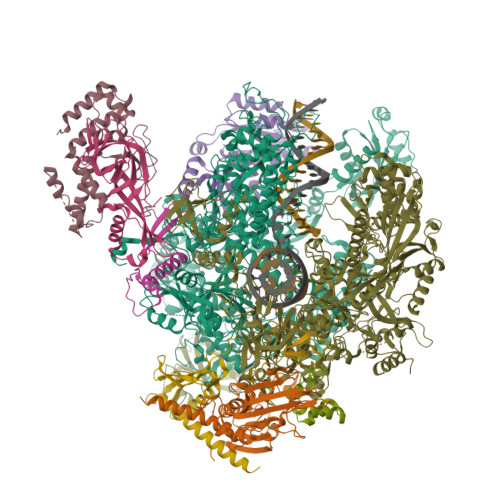 Structure 9SB1