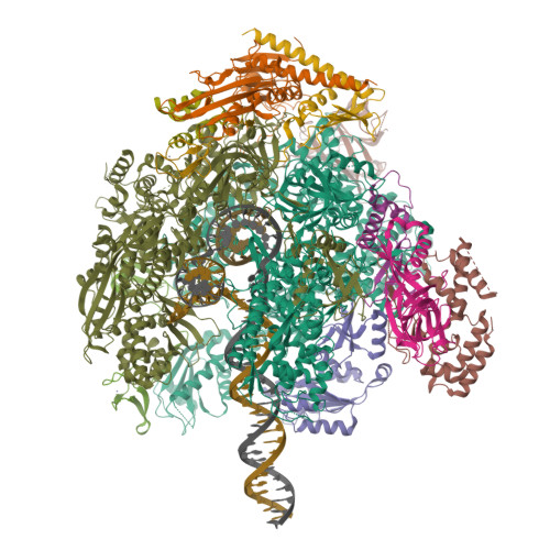 Rscb Frame RCSB PDB - 9SBL: Structure of Yeast RNA polymerase II elongation ...