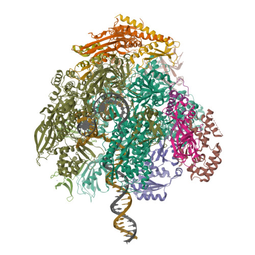 Rscb Frame RCSB PDB - 9SBQ: Structure of Yeast RNA polymerase II elongation ...