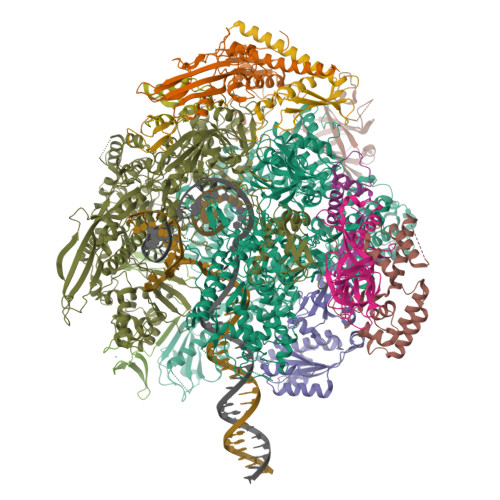 Structure 9SBS
