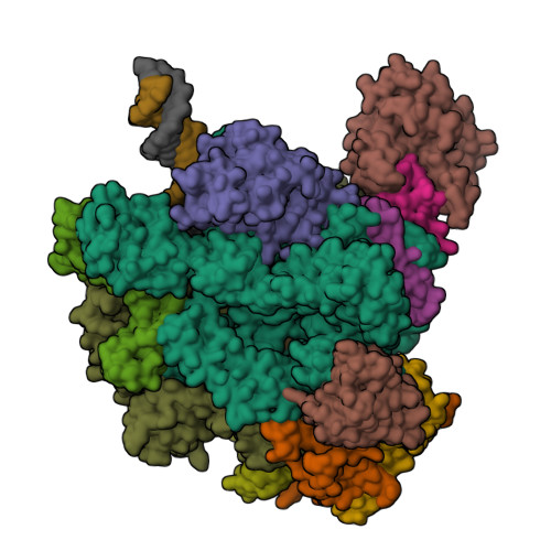 Rscb Frame RCSB PDB - 9SBU: Structure of Yeast RNA polymerase II elongation ...