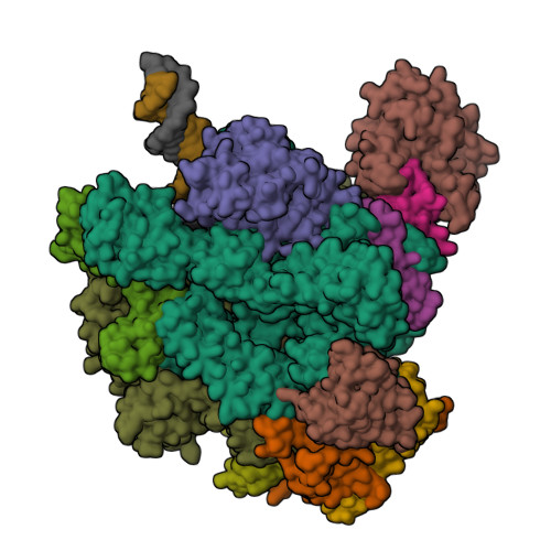 Structure 9SBV