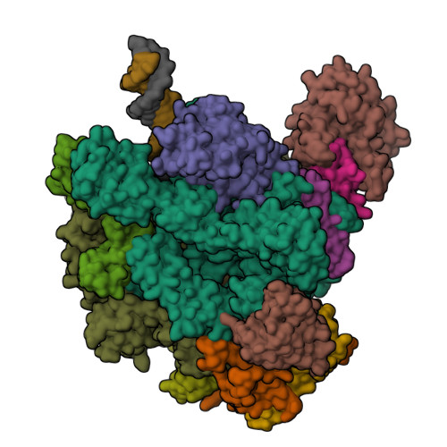 Structure 9SC2