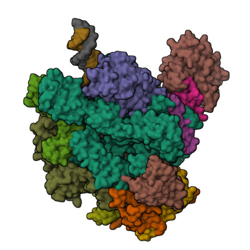 Structure 9SC4