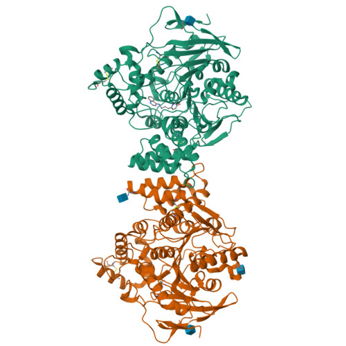 RCSB PDB - 9SCN: Crystal structure of Tc AChE with reactivator JDS364 ...