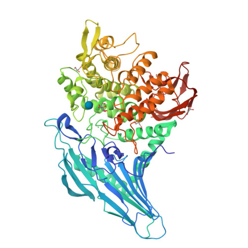 RCSB PDB - 9SD7: Crystal structure of C-terminally truncated human ...