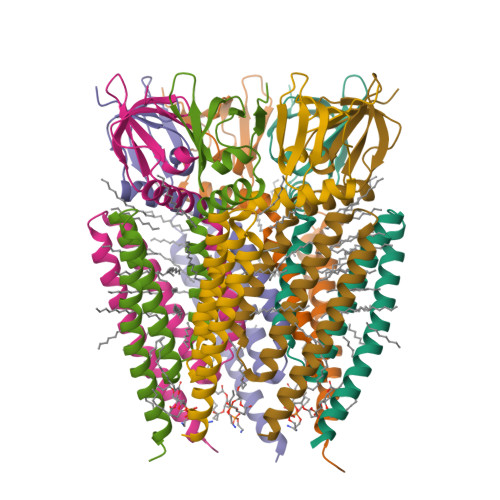 Structure 9SDG