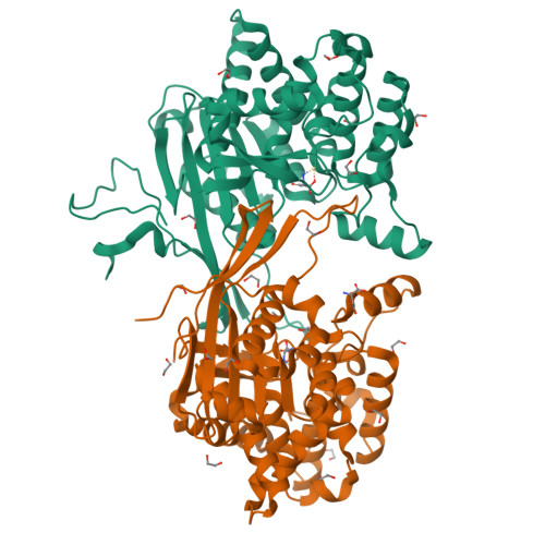 Structure 9SDK